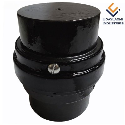 SW Series Coupling